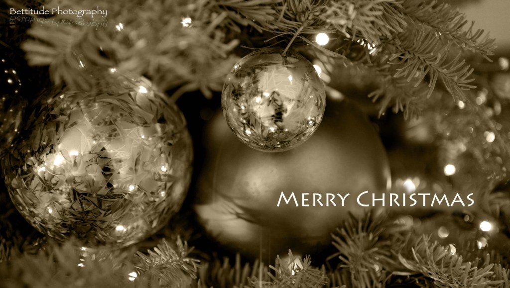 Seasonal Greetings from&nbsp;Bettitude!!