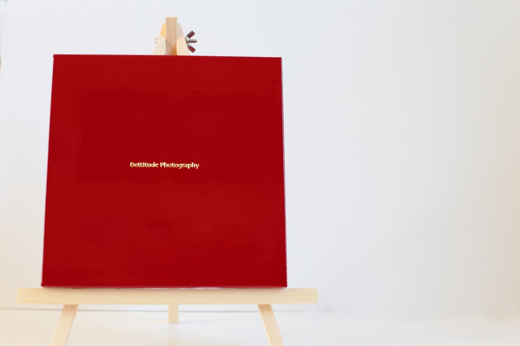 A Book of Wedding Portraits- Bettitude Photography