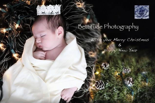Seasonal Greetings from Bettitude Photography